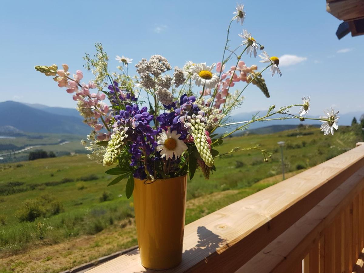 Appartement Chalet Rouge Sorbier à Font-Romeu-Odeillo-Via Extérieur photo